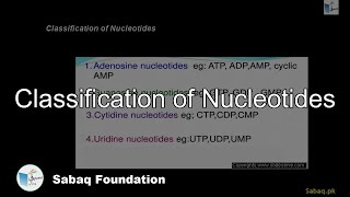 Classification of Nucleotides