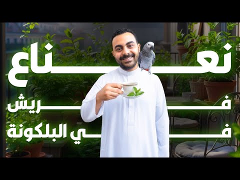 اتحداك النعناع يفشل عندك بعد الفيديو ده 🌿☕