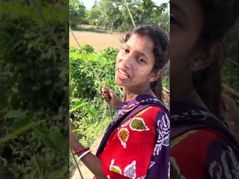 মৌসুমী দোলায় চড়ছিল! আমি ঠেলা দিতেই যা হলো দেখুন 😱😂#viral