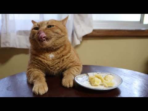 ちゃぶ台の上で楽しむしんじゃがフライドポテトのレシピ サムネイル