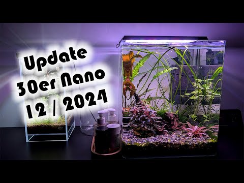 Update 30er Nano (12 / 2024) - Pflanzen, Filter (181)