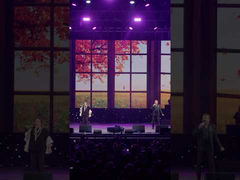 Me decían que un amor con otro amor pronto se olvida... ¡Es mentira! #pimpinela