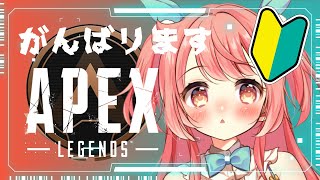 【APEX】よちよち歩きのゆるゆるぺっくす🔫【花丸ちよ / Vtuber】