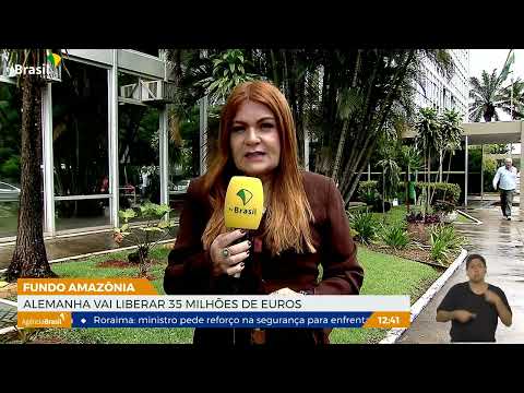 Fundo Amazônia: Alemanha libera uso de 35 milhões de euros