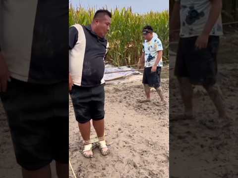 Funny 🤣🤣🤣 #shorts #ytshorts #funny