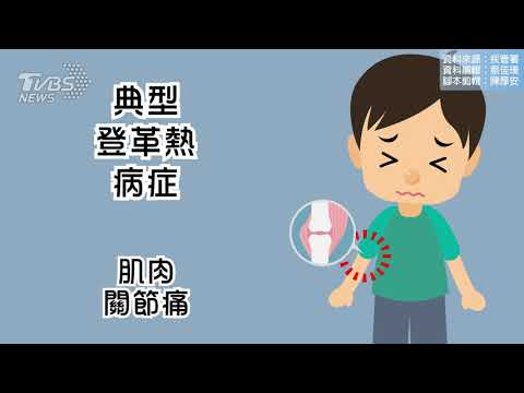 沒有特效藥！秒懂「登革熱」　這些症狀恐重症 - YouTube