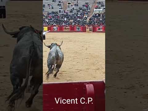Cesar Grasa por arriba del Adolfo martin plaza de toros de Valencia