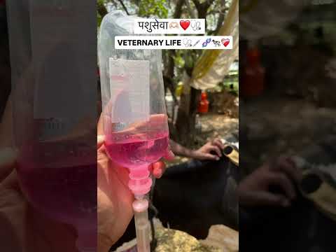 animal tretment || #animals #love #animalavengers