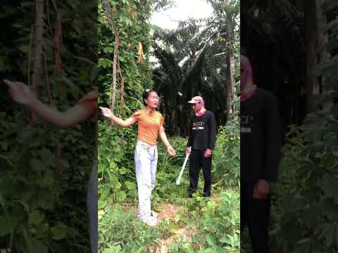เลื่อนไปมื้ออื่นเด้อ🤣🤣 #funny #comedyvideos #funnyvideo #comedy #funnyshorts #คลิปตลก