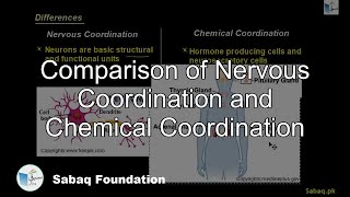 Comparison of Nervous Coordination and Chemical Coordination