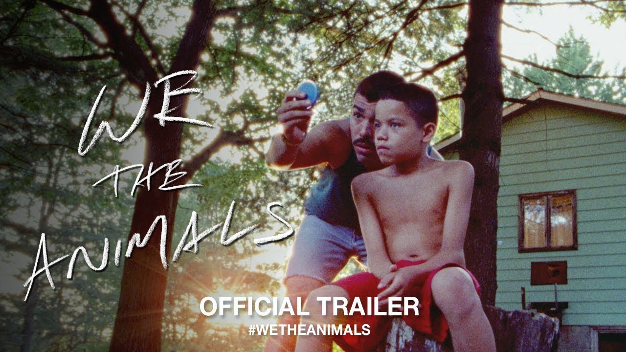 We the Animals Trailer thumbnail