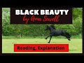 Understanding 'Black Beauty' Themes and Characters