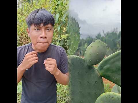 My mom gave me water to drink from the fountain!