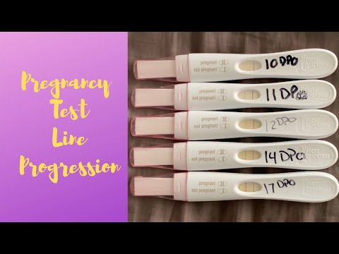 First Response Pregnancy Test Coupons 08 21