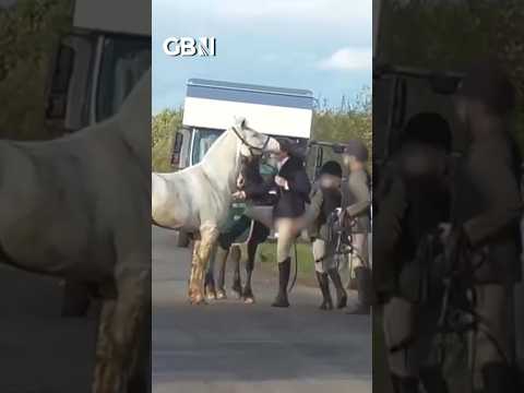 Former teacher not guilty of animal cruelty after kicking a horse #breakingnews #horse #animal