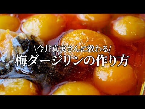【梅仕事】完熟梅で梅ダージリンの作り方。今井真実さんに教わる簡単梅仕事