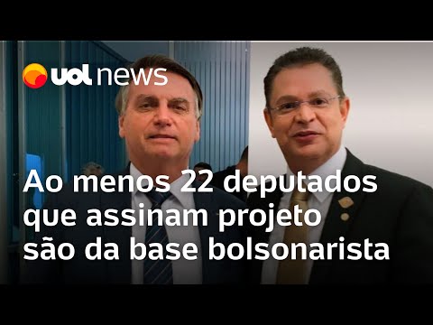 PL do aborto: Ao menos 22 deputados que assinam projeto são da base bolsonarista