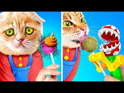 Surprise Your Kitty 😻 Adorable Hacks and Useful Gadgets for Pets