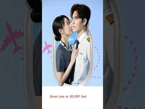 Secret Love at 30,000 Feet 002 poster