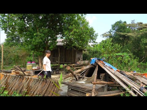 Collapsed Shed, Devastated Garden After Big Storm - Typhoon Yagi || Sơn Thôn.