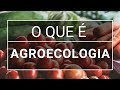 Agroecology Principles and Practices