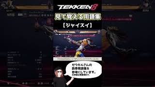 【鉄拳8】見て覚える用語集【ジャイスイ】