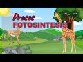 Photosynthesis Concepts and Effects