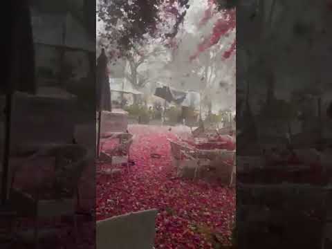 Severe Thunderstorm in Islamabad: Fear Spreads Among Residents 🌧️😨#islamabadrain