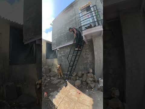 शिडीवर नको जाऊ 😄