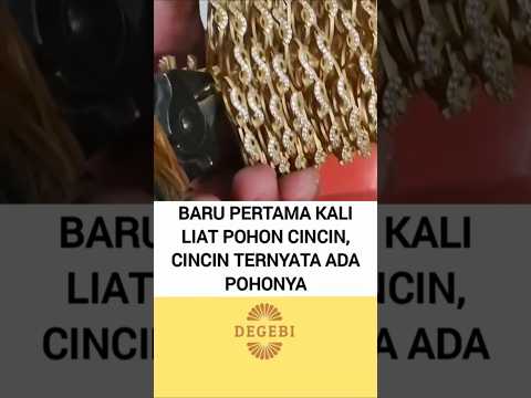 POHON CINCIN