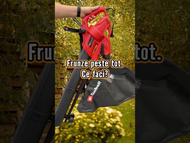 Frunze peste tot. 🍁 Ce faci?