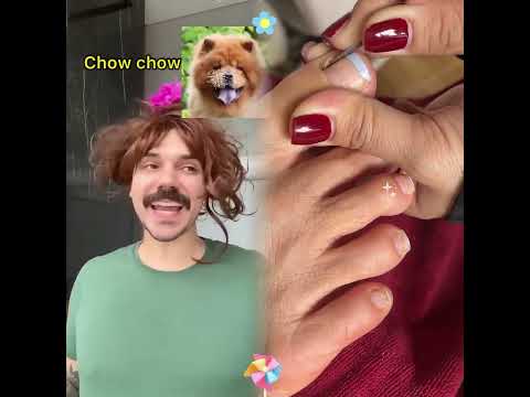 RAÇAS DE CÃES NO AMIGO SECRETO