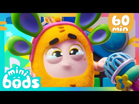 Minibods Talent Auditions! Minibods Got Talent! | 60 Minutes of Minibods | Preschool Cartoons