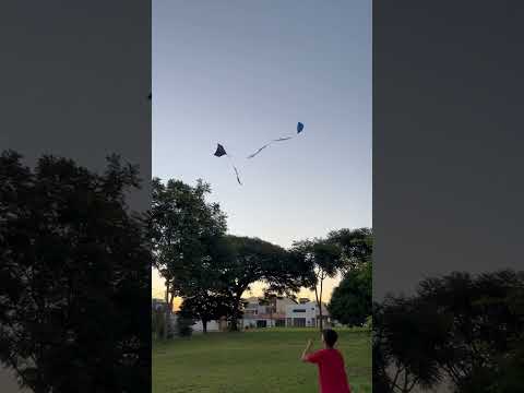 SERÁ QUE EU CORTEI ELE?