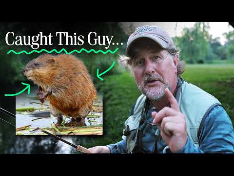 I Didn't Mean to Catch A Muskrat... OMG!
