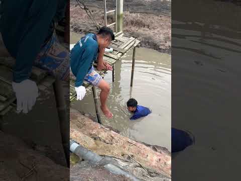 Nay team em dắt anh chị đi quậy một bữa nè ai đi dơ tay #phulentv