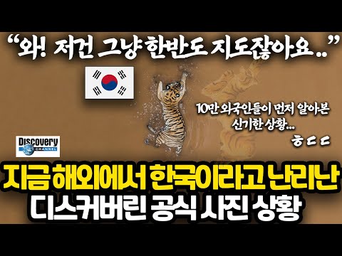 해외에서 먼저 알아본 한반도 호랑이 지도 l 디스커버리 공식 채널에 올라온 호랑이 사진에 달린 놀라운 반응