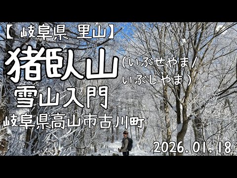 【岐阜県 里山】雪山入門 猪臥山(いぶせやま/いぶしやま)岐阜県高山市#雪山 #雪山登山 #登山