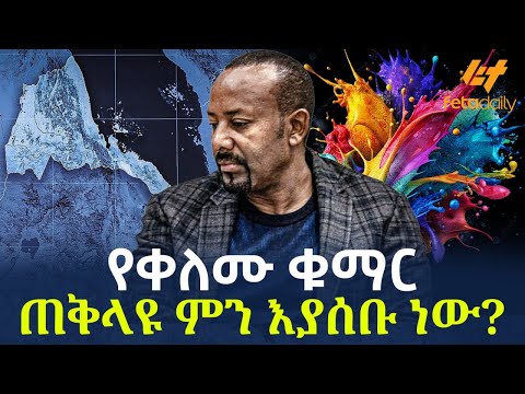 Ethiopia - የቀለሙ ቁማር * ጠቅላዩ ምን እያሰቡ ነው?