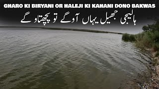 HALEJI LAKE SINDH 4000 ka petrol laga k karachi se khuwar hony phnch gaye hum #sindhexplore #haleji