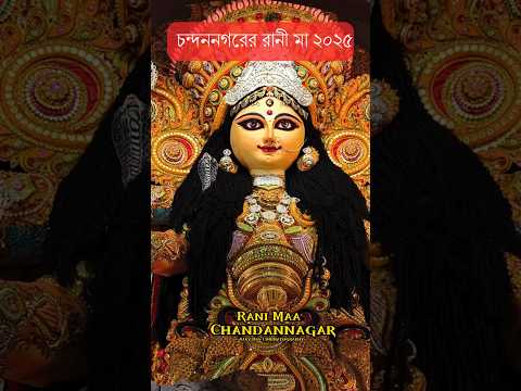 Rani Maa Chandannagar 2025😍 Chandannagar Jagadhatri Puja #chandannagar #ranimaa #shorts #foryou