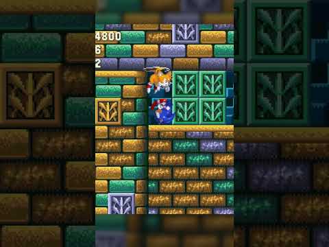 Vinny spin dashes through the wall accidentally