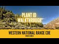 Plant Identification and Management Concepts
