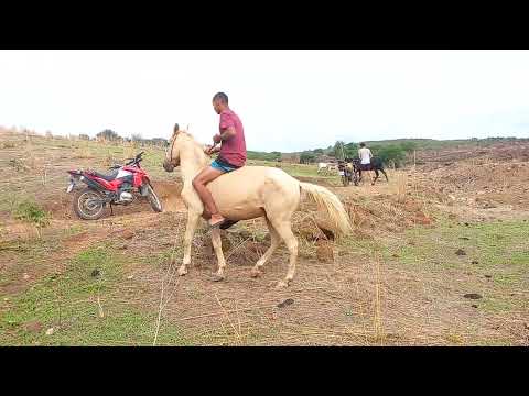 montando no cavalo brabo