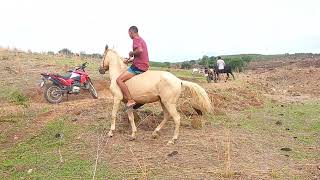 montando no cavalo brabo