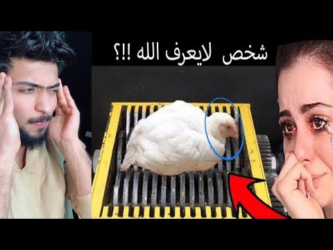 شخص يفرم كل شي أمامه بجهاز الفرم ! فظيييييع 🤦‍♂️