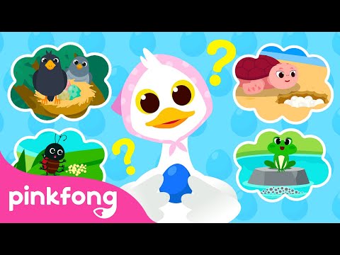 Whose Blue Egg is This? | Storytime with Pinkfong and Animal Friends | Cartoon | Pinkfong for Kids