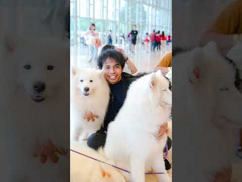 Kalian pilih yang mana? 😂