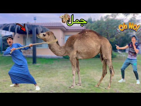 لما ابوك يجيب جمل لاخوك الصغير في عيد ميلادو 🐪😂| علاء حسين