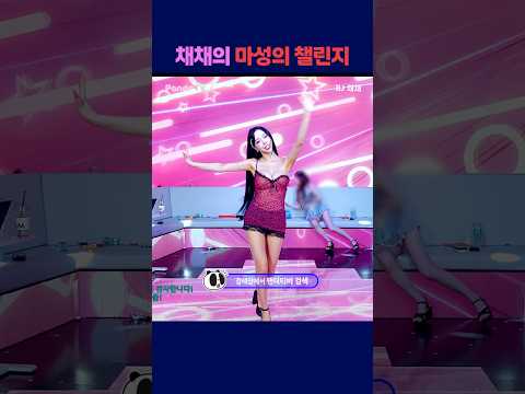 채채의 마성의 챌린지 #팬더티비 #강남기획  #엑셀방송 #여캠 #채채 #마성의목소리